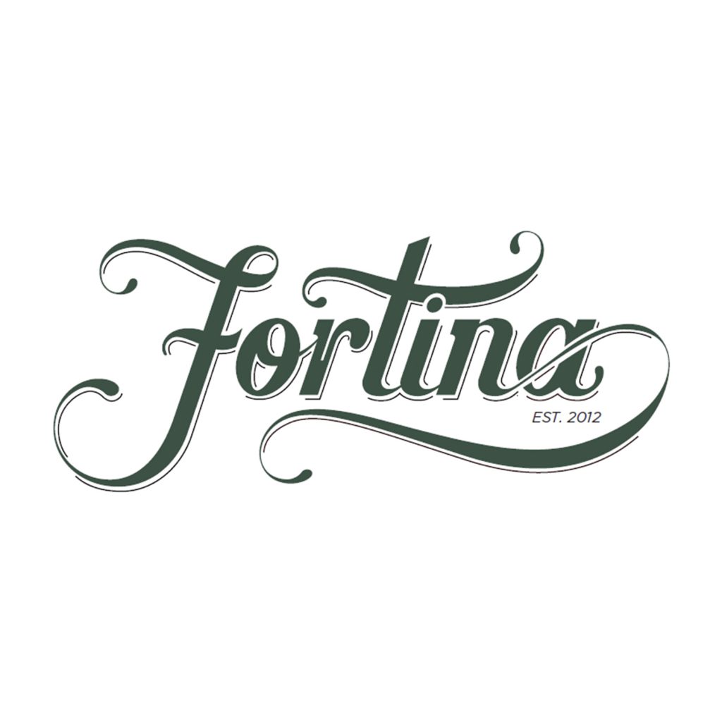 logo-fortina.jpg